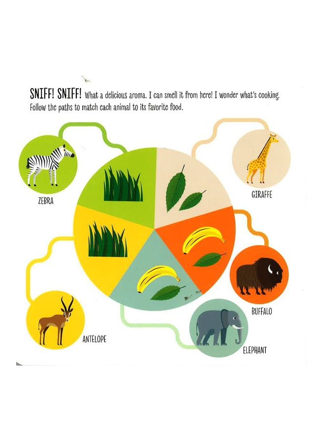 My First Book Of Wild Animals Board Book English by White Star  - Image 3