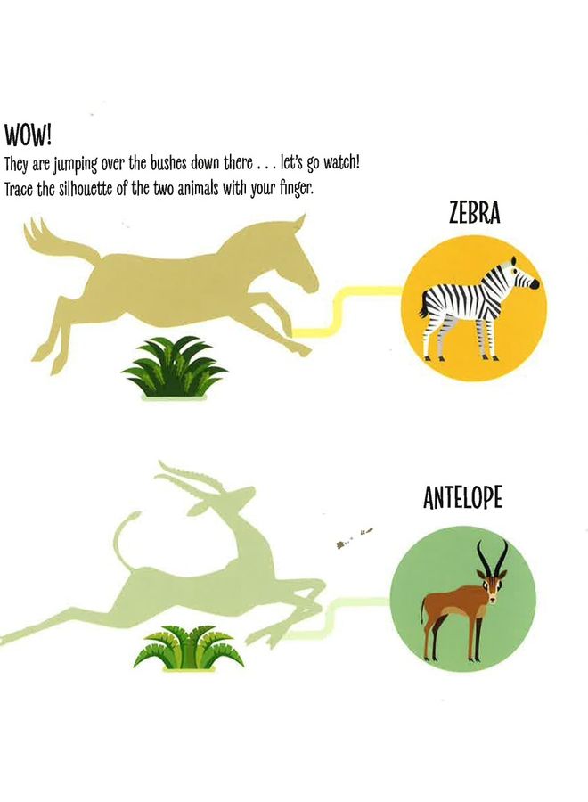 My First Book Of Wild Animals Board Book English by White Star  - Image 5