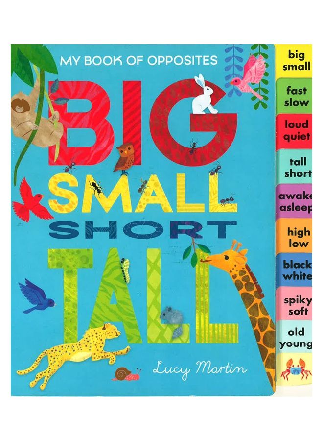 My Book Of Opposites : Big Small Short Tall Board Book English by Lucy Martin  - Image 1
