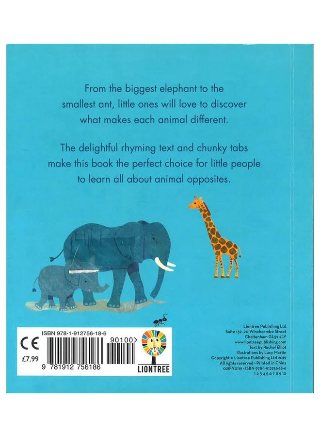My Book Of Opposites : Big Small Short Tall Board Book English by Lucy Martin  - Image 2