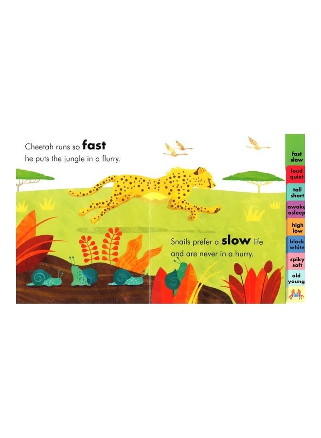 My Book Of Opposites : Big Small Short Tall Board Book English by Lucy Martin  - Image 3