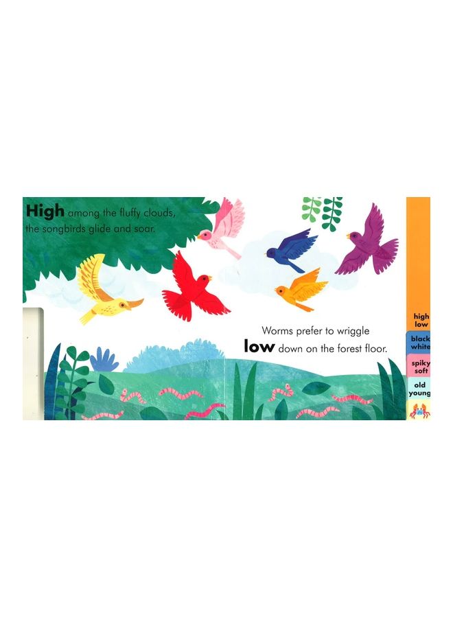My Book Of Opposites : Big Small Short Tall Board Book English by Lucy Martin  - Image 4