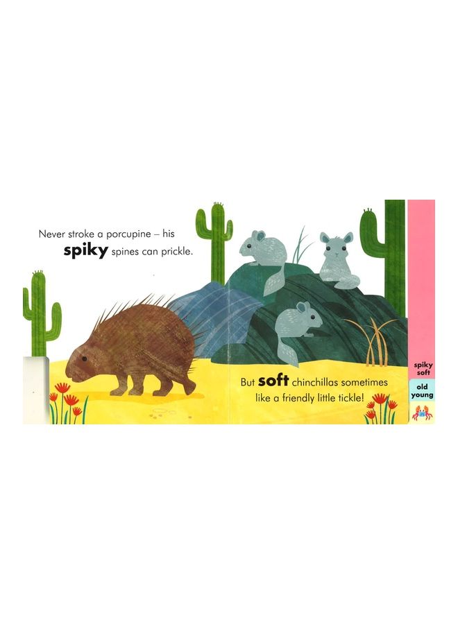 My Book Of Opposites : Big Small Short Tall Board Book English by Lucy Martin  - Image 5