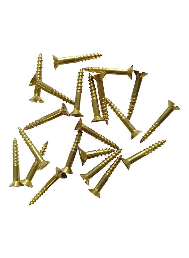 Plated Wood Screw Set Of 5 Packs Brass 3/4x4inch