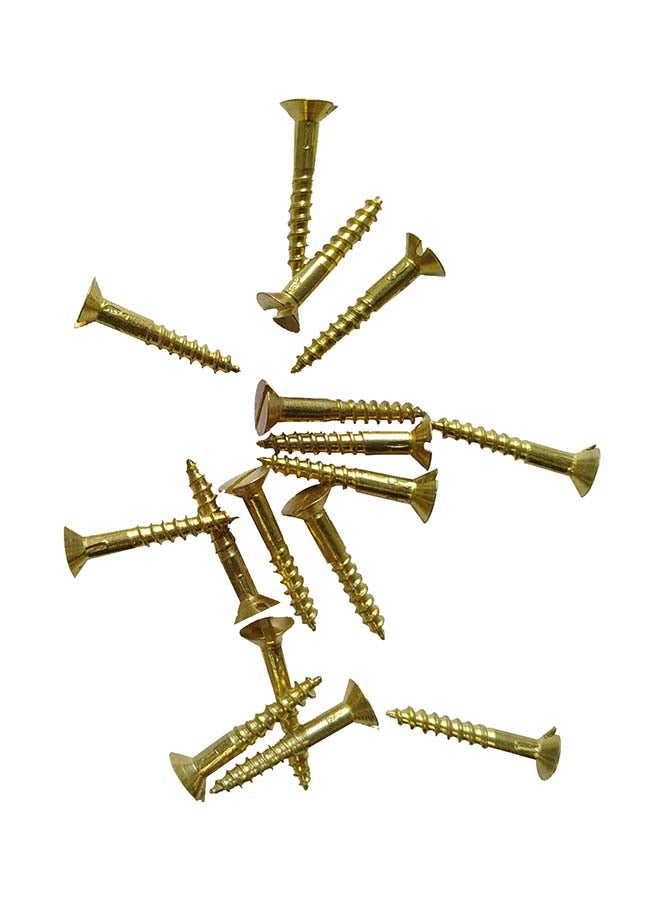 Plated Wood Screw Set Of 5 Packs Brass 1x8inch