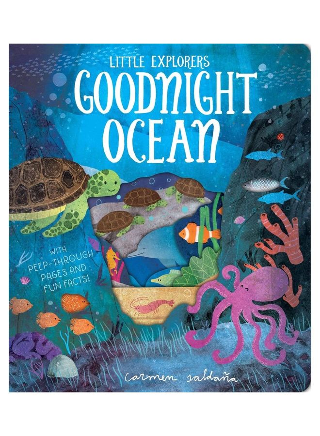 Little Explorers Goodnight Ocean Board Book English by Lion Tree 