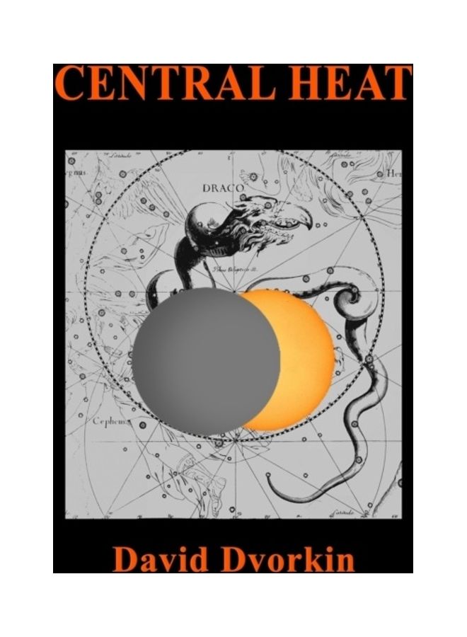 Central Heat Paperback English by David Dvorkin
