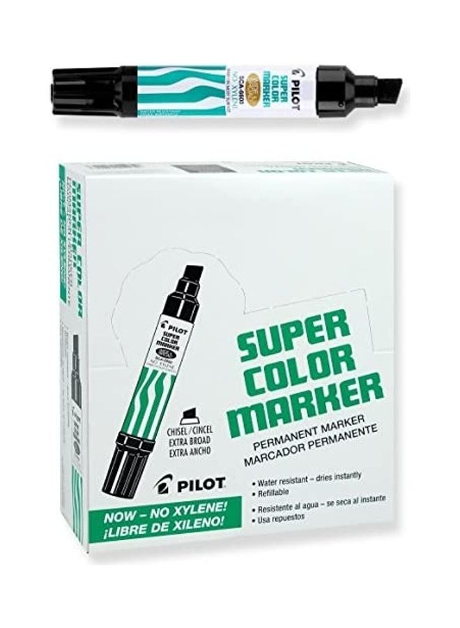 PILOT 12-Pack Super Color Permanent Markers Black