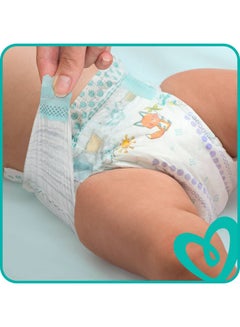 Baby Dry Diapers Size 6, Extra Large, 13+ Kg (48 Diapers) - v1611053827/N20676331A_10