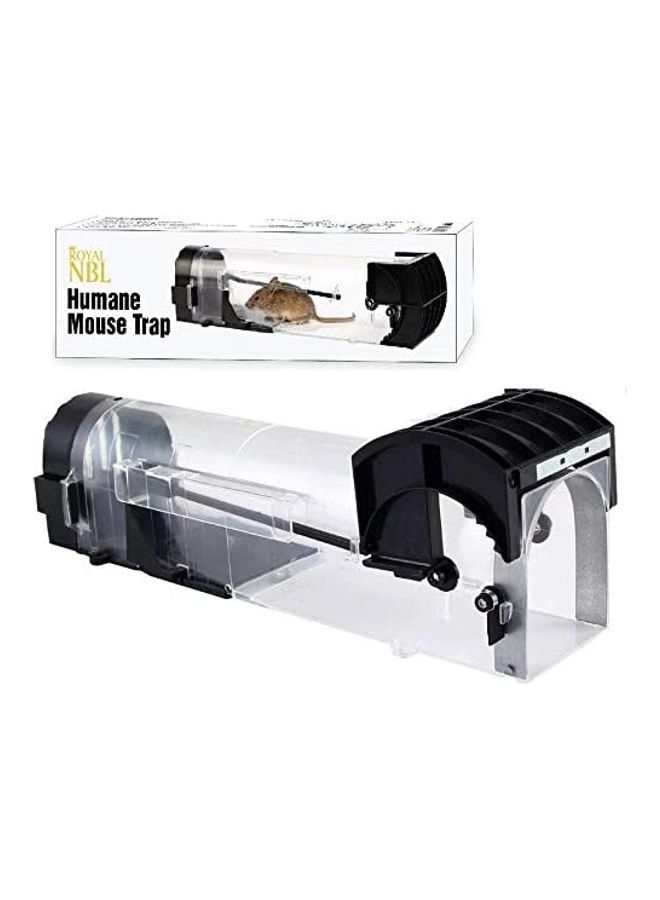 ROYAL NBL - Mouse Trap Bundle Black 30cm - Image 1