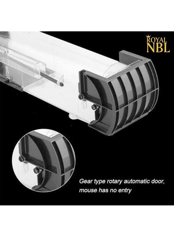 ROYAL NBL - Mouse Trap Bundle Black 30cm - Image 1