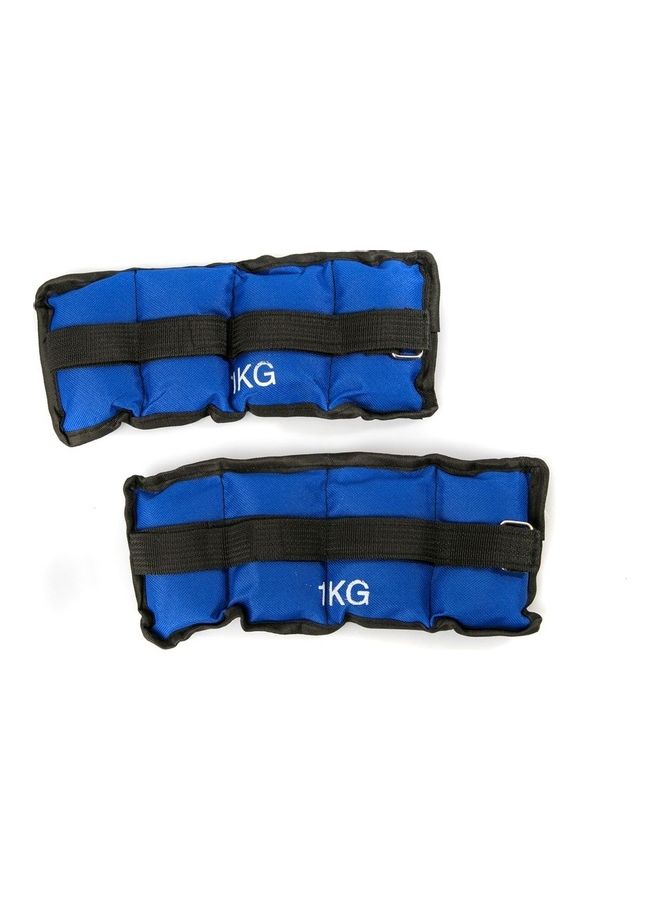 Generic 2-Piece Arm And Feet Sand Weight 