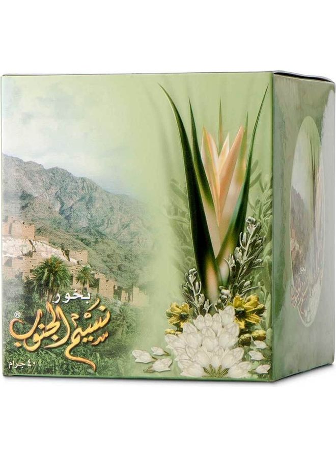 Sedr Al-Khaleej Perfumes Naseem Aljanob Bakhour brown  - Image 2