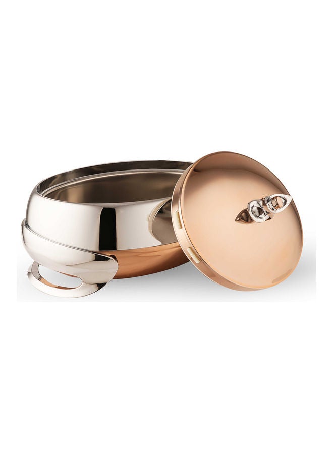 Golden Fire - Taiwanese Food Container Stainless Steel Brown/Silver - Image 1