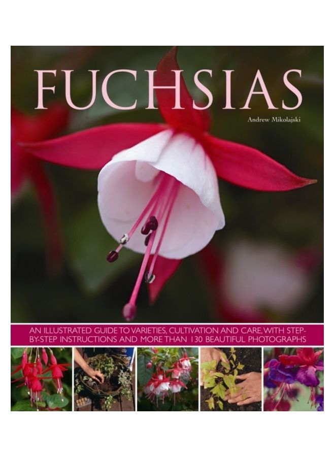 Fuchsias paperback english 