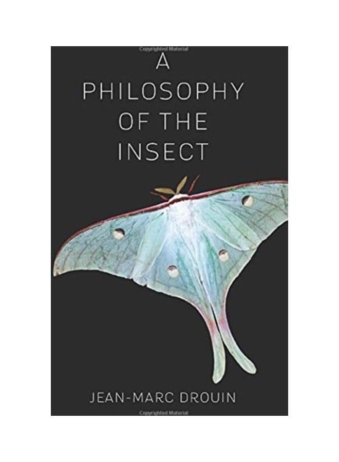 A Philosophy Of The Insect Hardcover English by Jean-Marc Drouin - Image 1