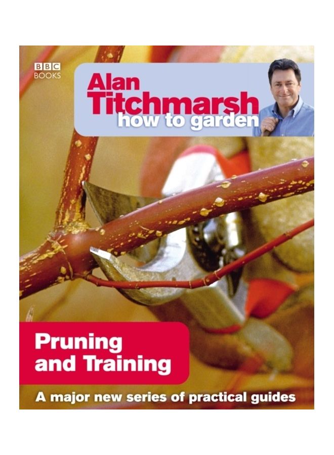 Pruning And Training paperback english 