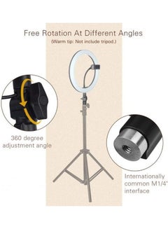 Generic Ring Light with 260cm Light Stand and Carrying Bag for Ring Light for Portrait Photography, Make up, Selfie and Video Shooting white  - Image 2