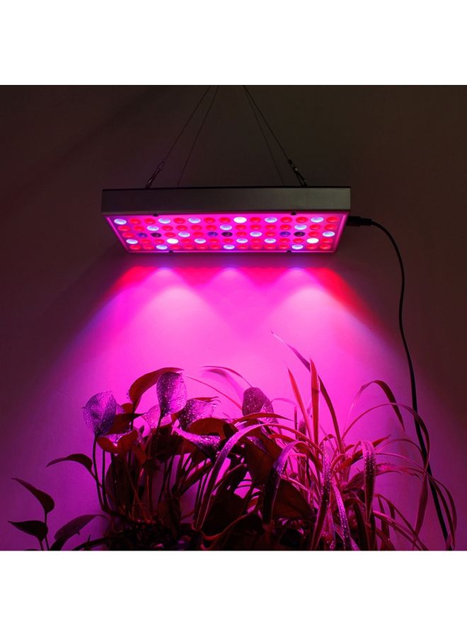 ماركة غير محددة مصباح LED كامل الطيف للنباتات متعدد الألوان 35 x 13 x 3Ø³Ù†ØªÙŠÙ…ØªØ±  - Image 4
