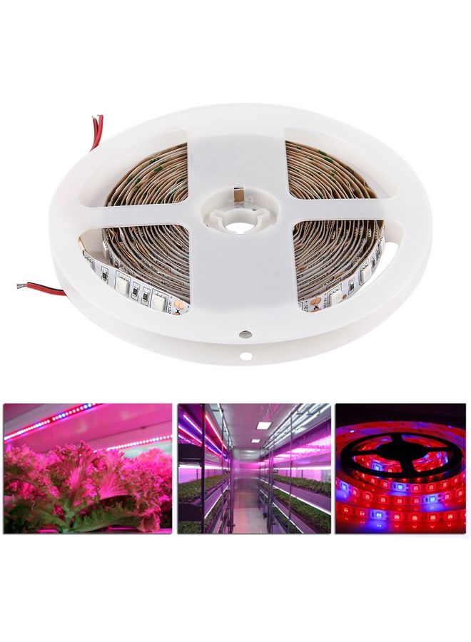 ماركة غير محددة مصباح SMD 5050 3:1 بإضاءة LED بلون أحمر وأزرق بطول 5 أمتار متعدد الألوان 20x18x1سم  - Image 1