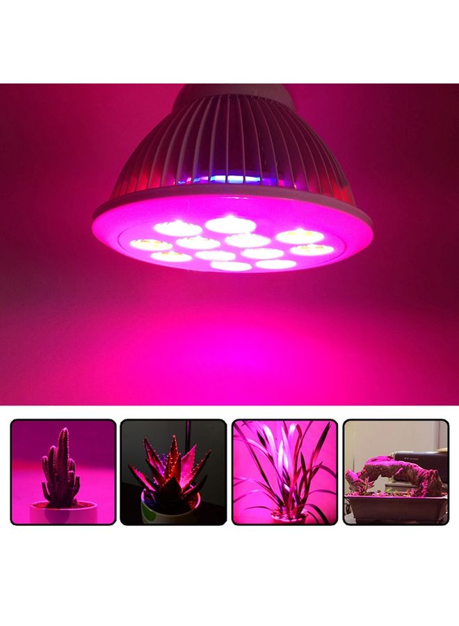 ماركة غير محددة إضاءة LED للمساعدة على نمو النبات متعدد الألوان 12 x 12 x 15Ø³Ù†ØªÙŠÙ…ØªØ±  - Image 1