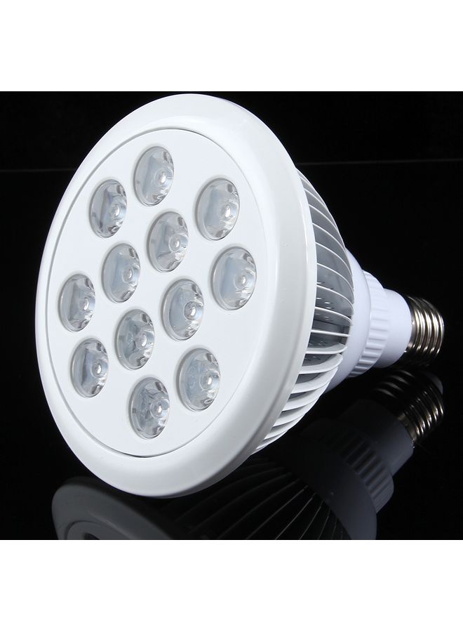 ماركة غير محددة إضاءة LED للمساعدة على نمو النبات متعدد الألوان 12 x 12 x 15Ø³Ù†ØªÙŠÙ…ØªØ±  - Image 3