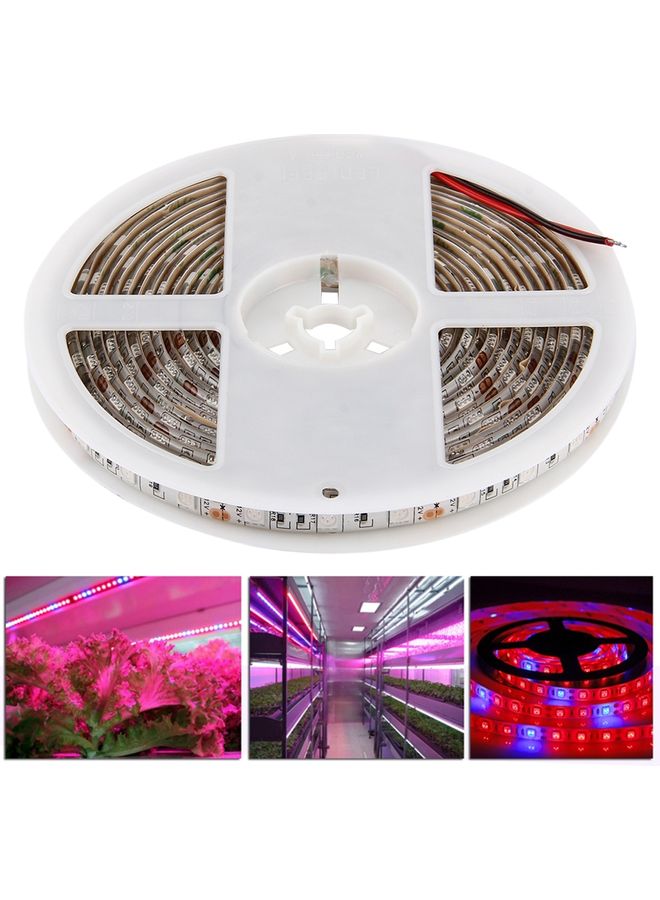 ماركة غير محددة مصباح SMD 5050 لنمو النباتات بلون أحمر وأزرق طوله 5 أمتار . متعدد الألوان 20x18x1Ø³Ù†ØªÙŠÙ…ØªØ±  - Image 1