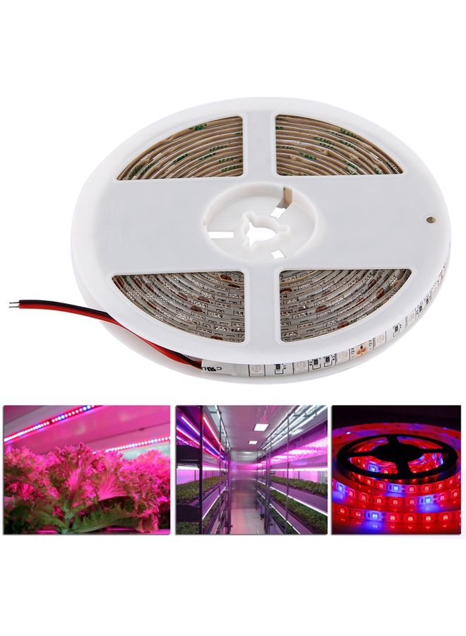 Generic 5m SMD 5050 5:1 Red + Blue Plant Grows Lamp Multicolour 20x18x1cm  - Image 1