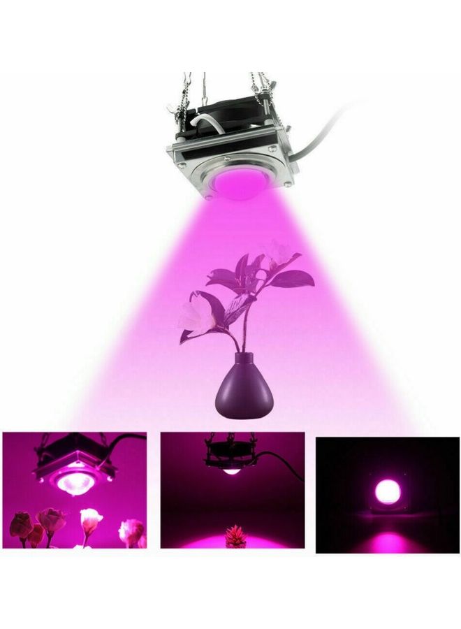 ماركة غير محددة مصباح LED لنمو النباتات أبيض 15 x 13 x 11Ø³Ù†ØªÙŠÙ…ØªØ±  - Image 2