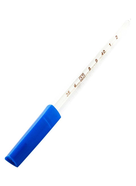 Glass Mercury Thermometer