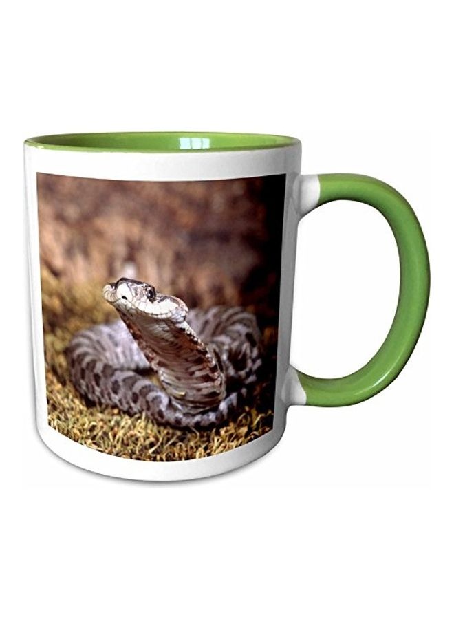 3DROSE Baby Eastern Hognose Snake Printed Mug Multicolour