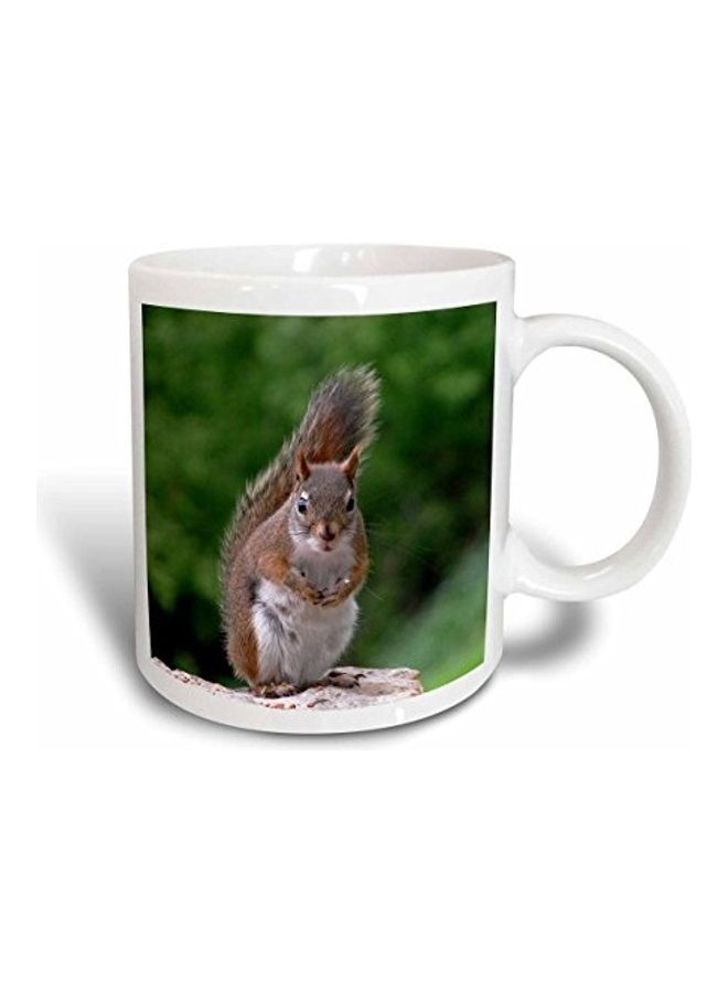 3DROSE Squirrel Printed Ceramic Coffee Mug Multicolour - Image 1