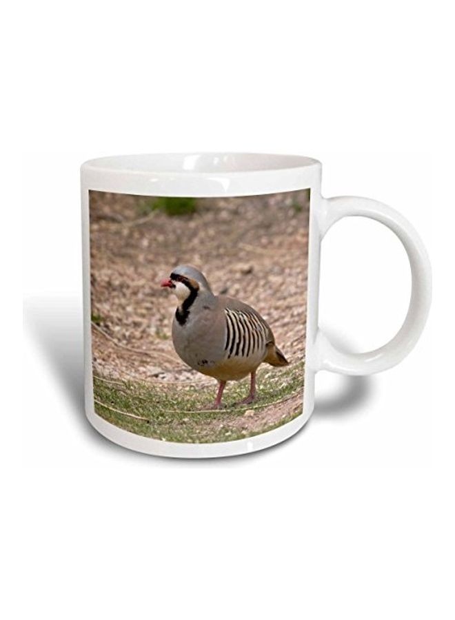 Chukar Bird Printed Mug Multicolour