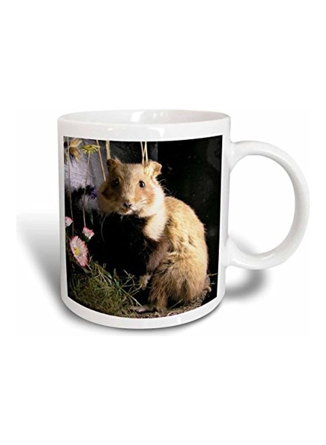 3DROSE Cute Little Hamster Printed Mug Multicolour
