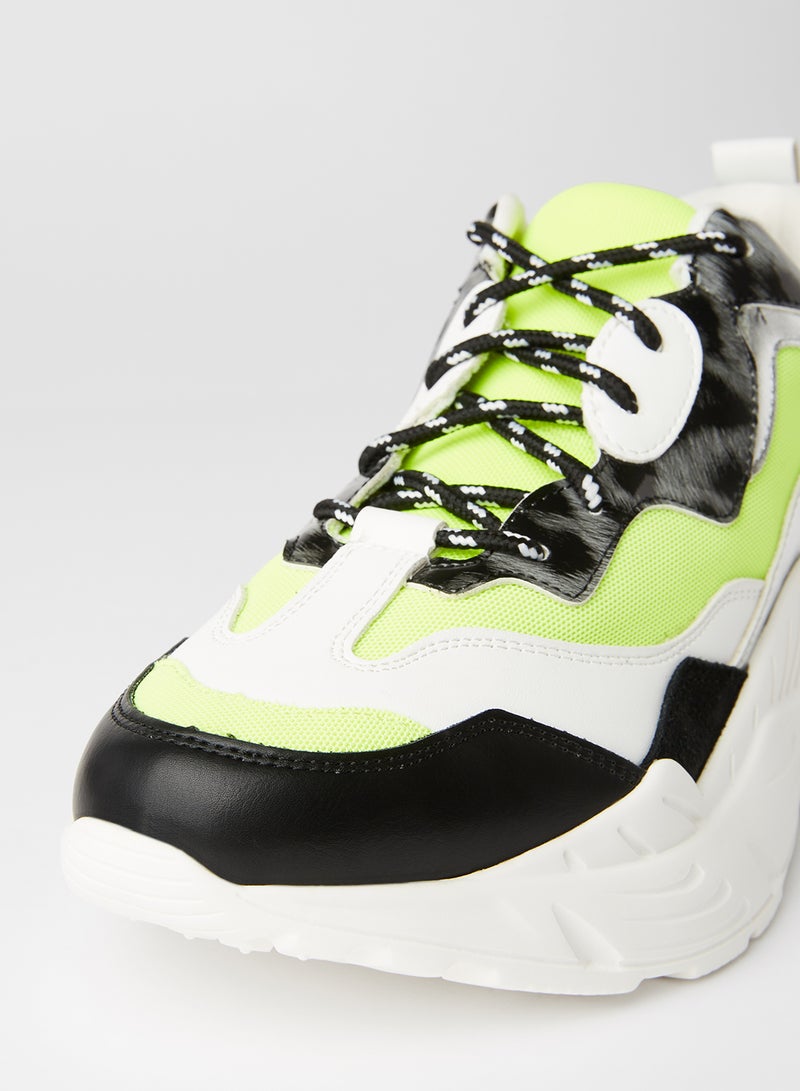 STEVE MADDEN - Antonia Low Top Sneakers Green - Image 1