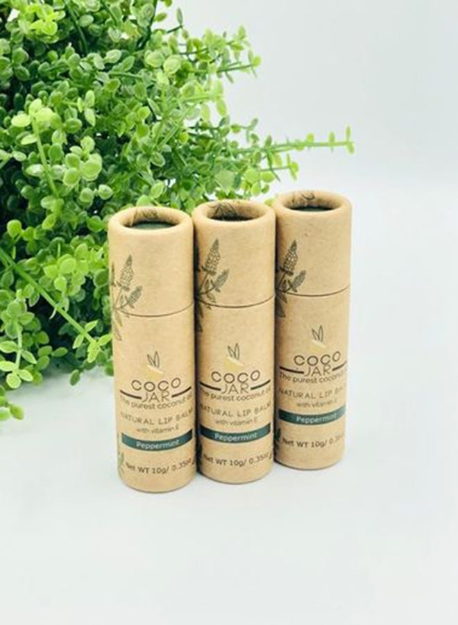Coco Jar Natural Lip Balm - Pepermint Light Green 10grams  - Image 3