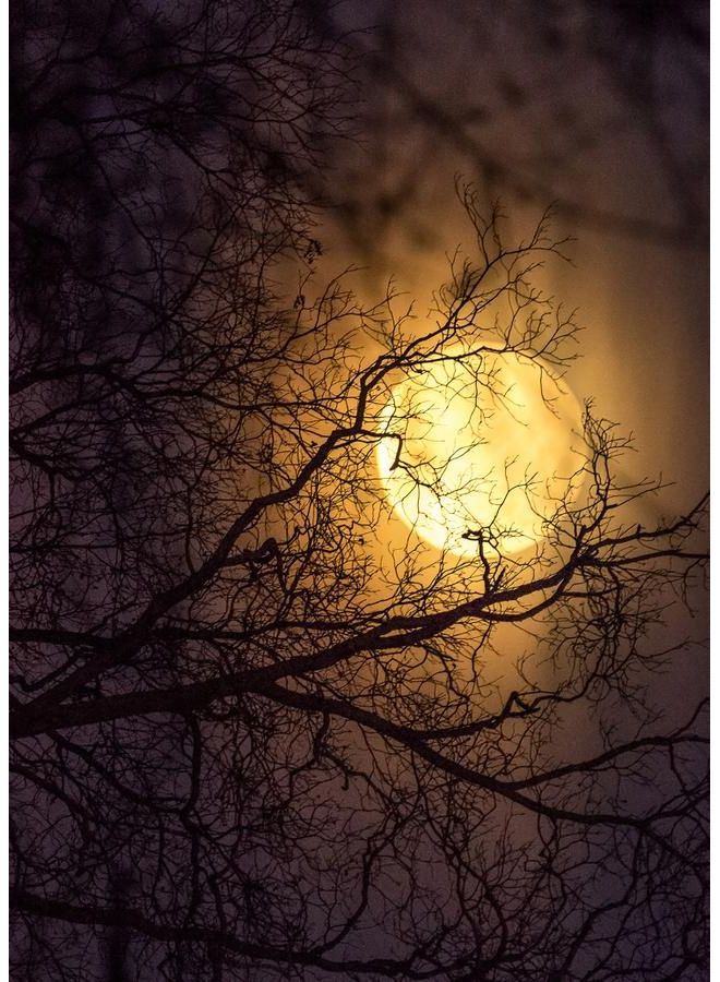 زوت لوحة من قماش الكانفاس لصورة مشهد غروب الشمس في المساء متعدد الألوان 50X70سم