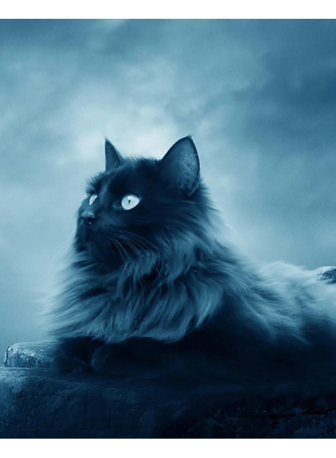 Zoot Canvas Cat Is Sitting On Rock Stone Multicolour 50 x 40cm