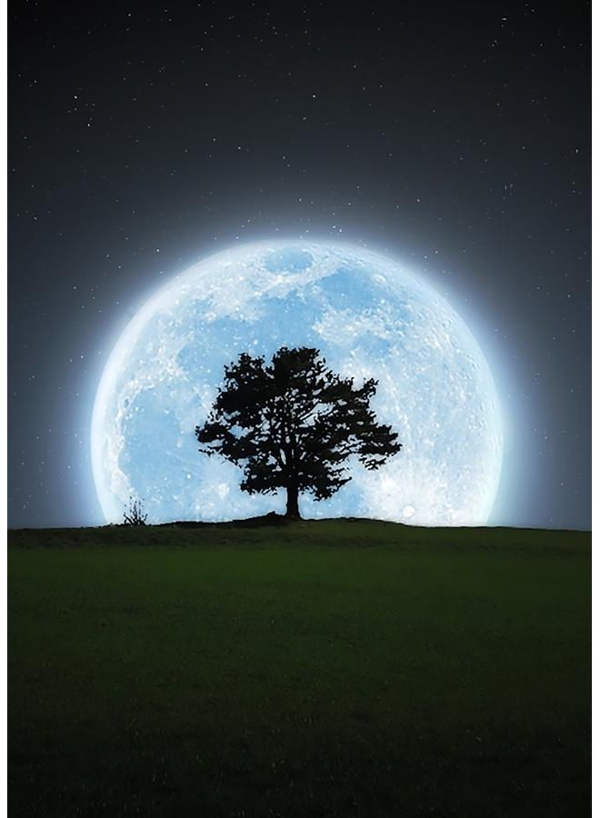 Zoot Canvas Moon Light Tree multicolour 50X70cm
