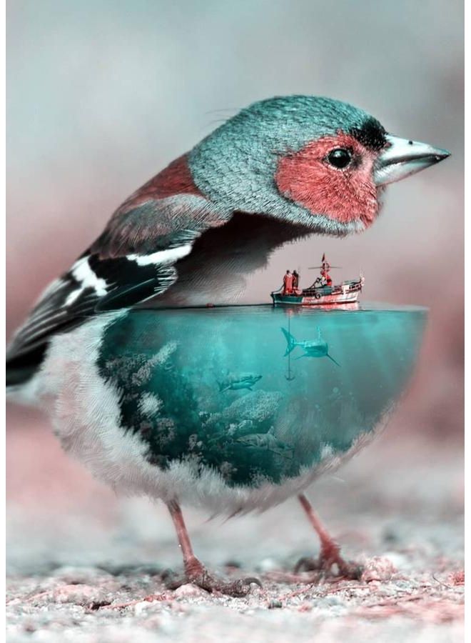 Zoot Canvas Bird multicolour 50X70cm