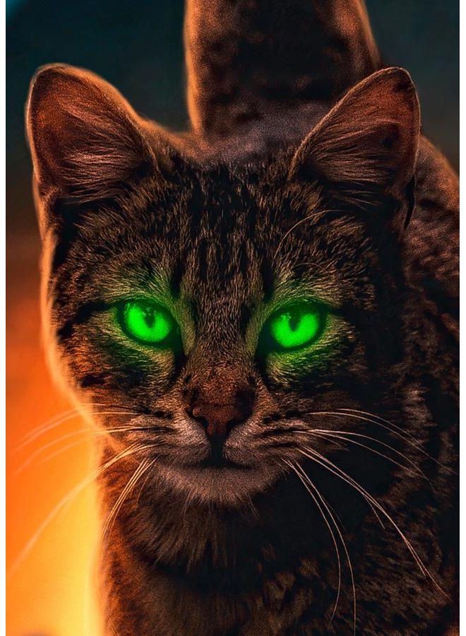 Zoot Canvas Green Eye Cat multicolour 50X70cm