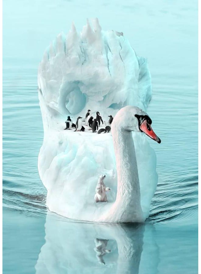 Zoot Penguins Canvas Painting multicolour 50X70cm