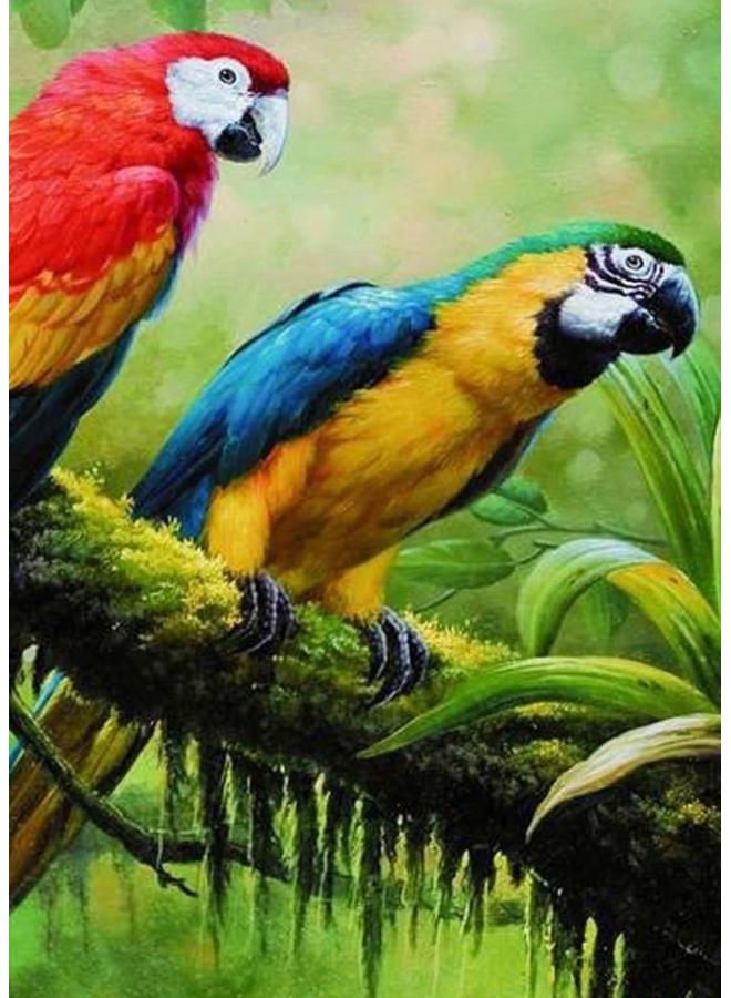 زوت لوحة فنية من قماش الكانفاس بطبعة طائر استوائي متعدد الألوان 50 x 70سم