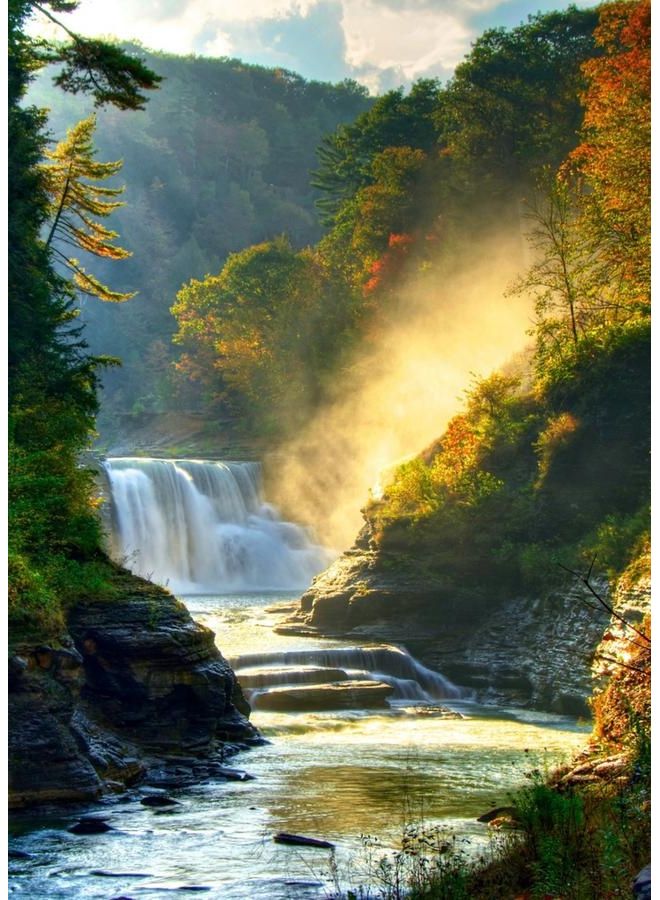 Zoot Canvas Wild Nature Multicolour 50 x 70cm