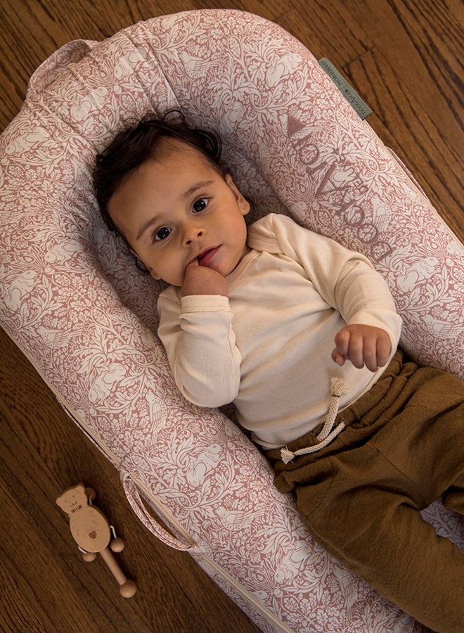 DockATot - Deluxe+ Dock, 0-8 M - Brer Rabbit - Image 1