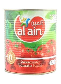 Tomato Paste Can 800grams