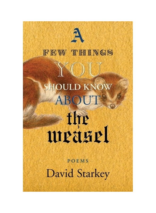 A Few Things You Should Know About The Weasel Paperback English by David Starkey 