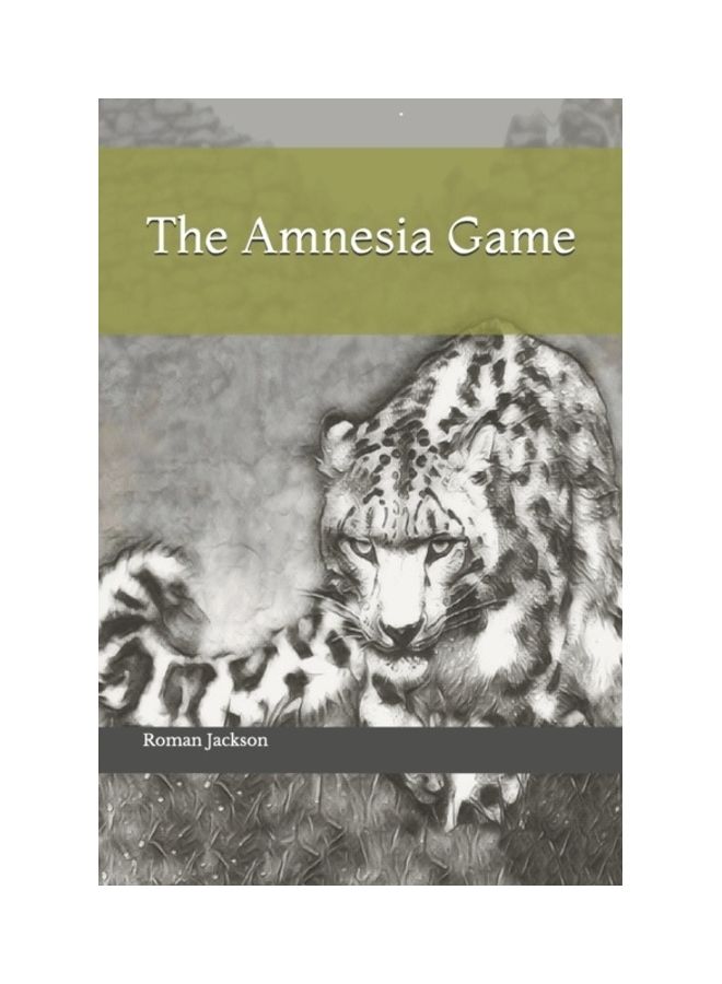 The Amnesia Game paperback english 