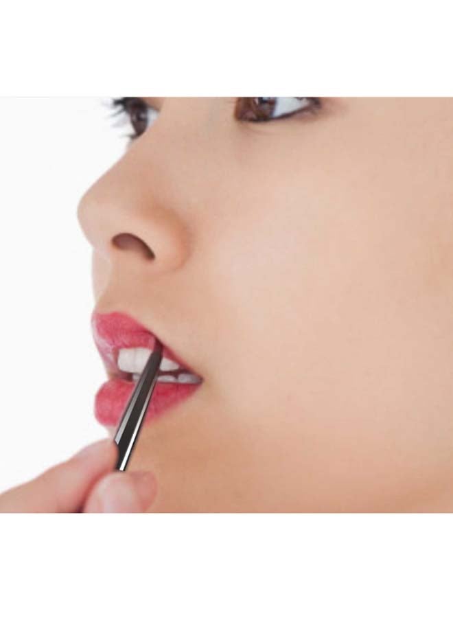 Vega - Lip Liner And Filler Brush Beige/Black - Image 1