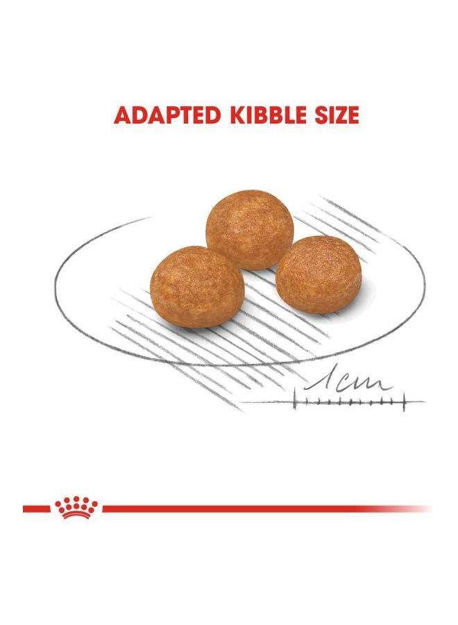 ROYAL CANIN Healthy Transit X-Small Adult Dog Dry Food 1.5kg - Image 4